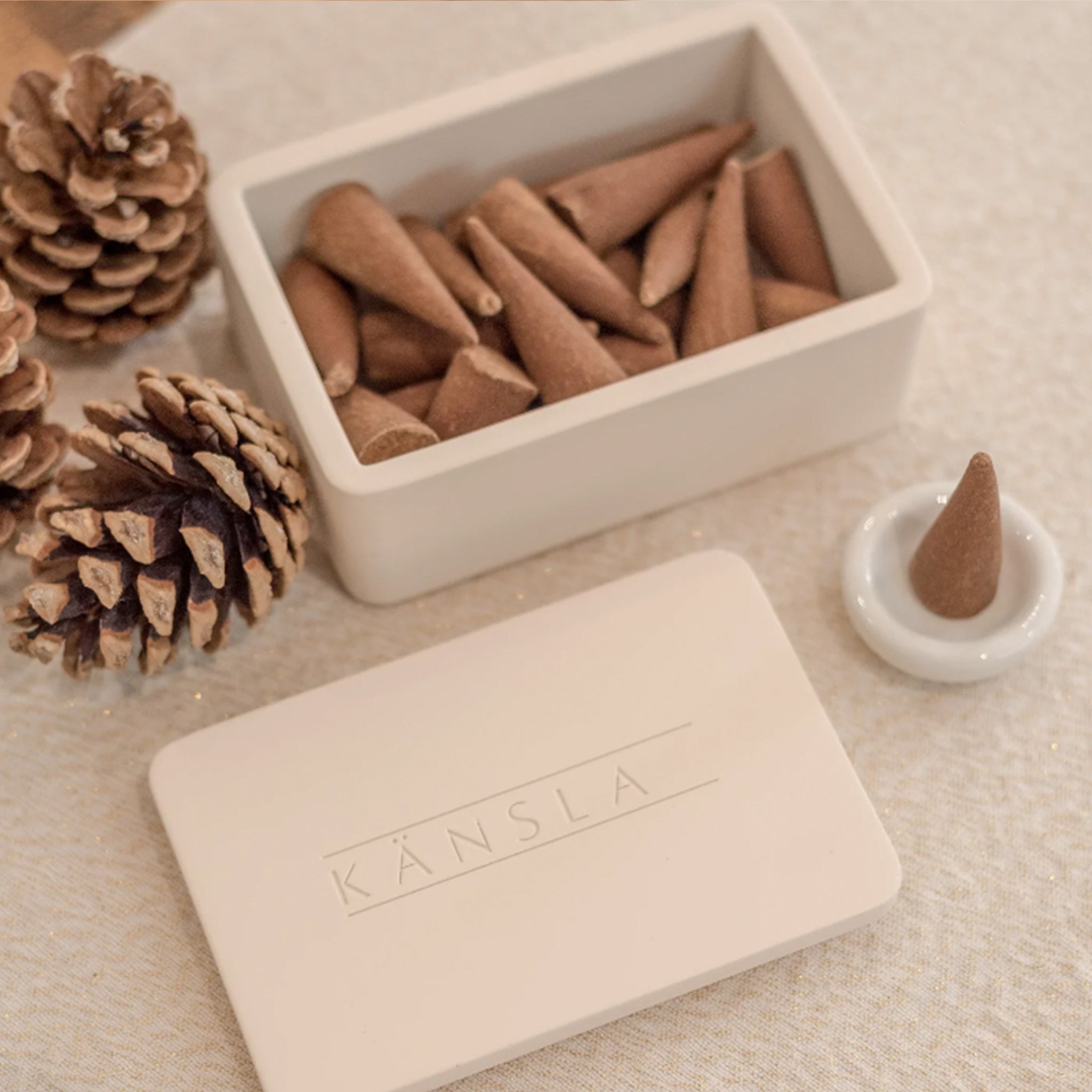 Tuscan Leather & Oud Incense Cones