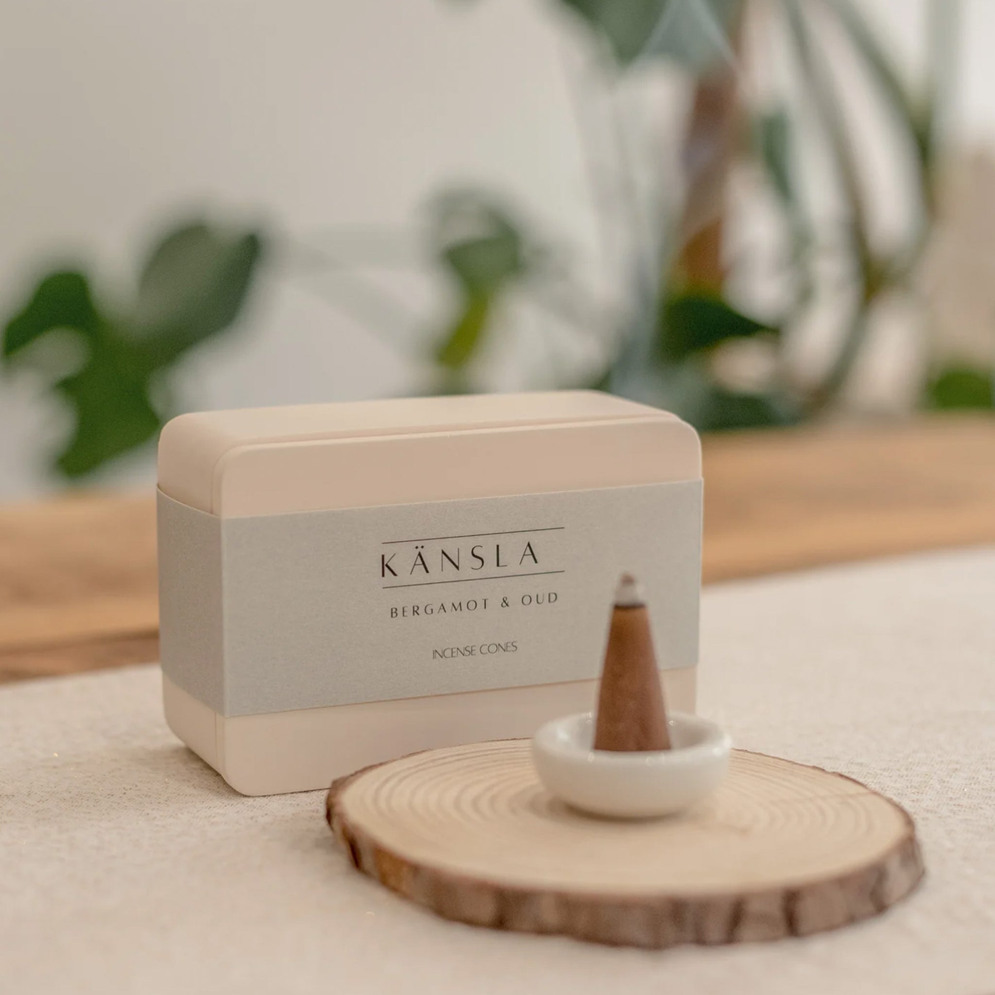 Bergamot & Oud Incense Cones