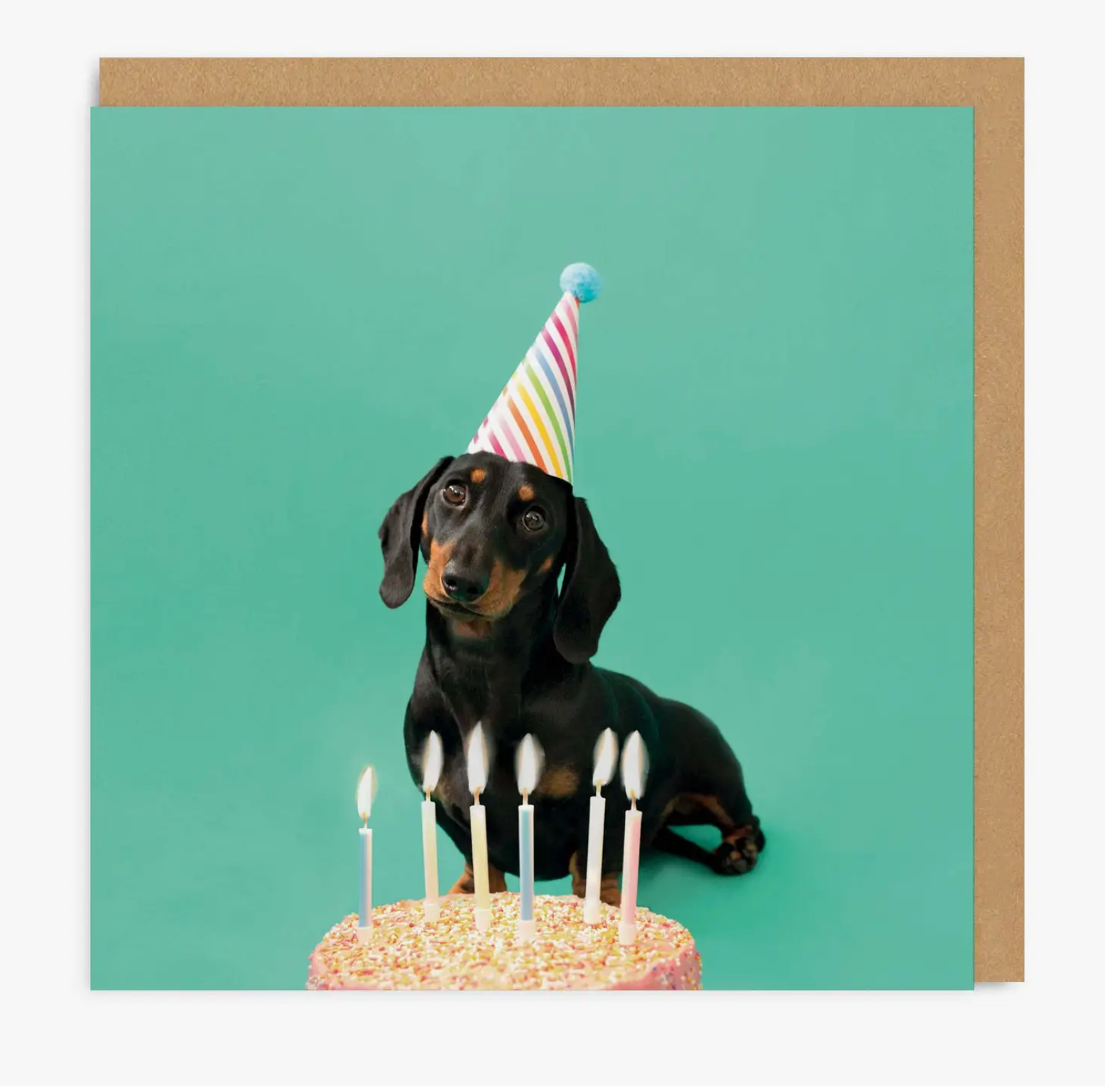 Sausage party hat